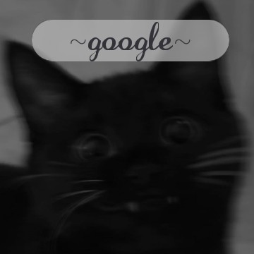 Black cat widget with google