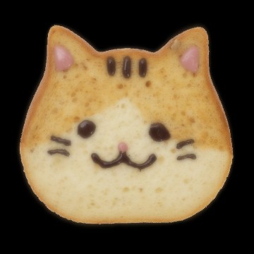 toast cat