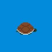 hiding turtle