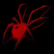 spider 