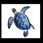 turtle cute small widget 