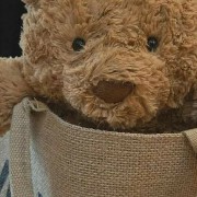 teddy