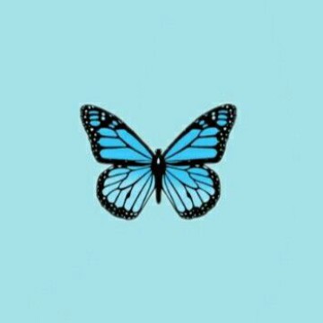 buterfly Blue