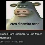 memes