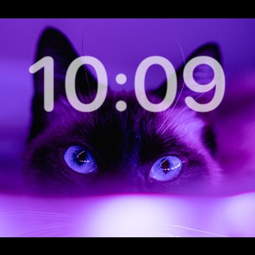 Calendar/Time