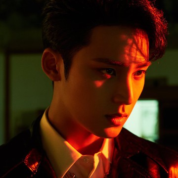 seventeen mingyu