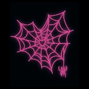 Spiderweb 