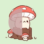 moon phase mushroom