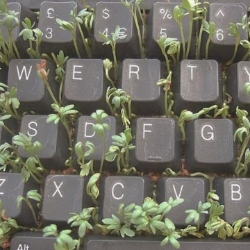 keyboard with plants