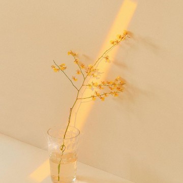 Yellow widget