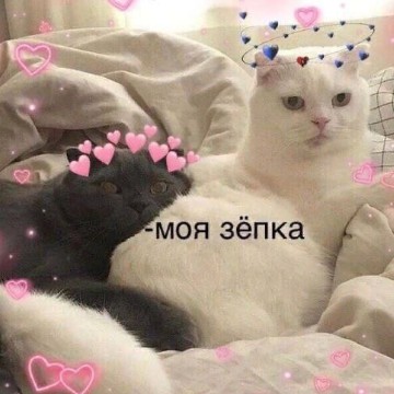 love2