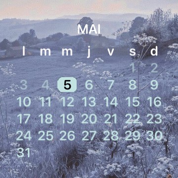 widget aesthetic