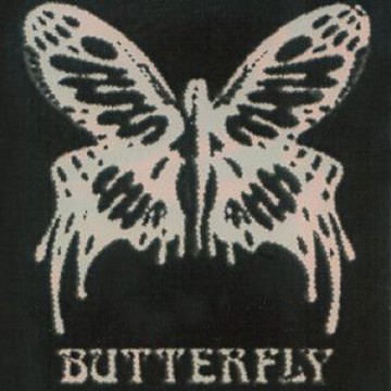 butterfly