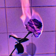 purple aesthetic widget 