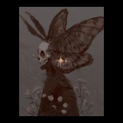 moth creature