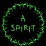 cabin spirit