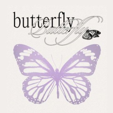 butterfly 