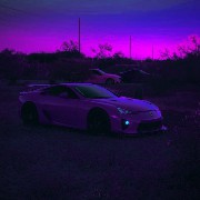 purple LFA 