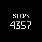 steps widget