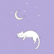 purple widget