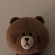 widget brown 