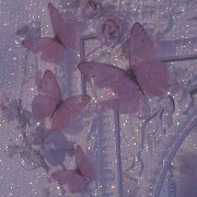 pink.mirror.butterfly