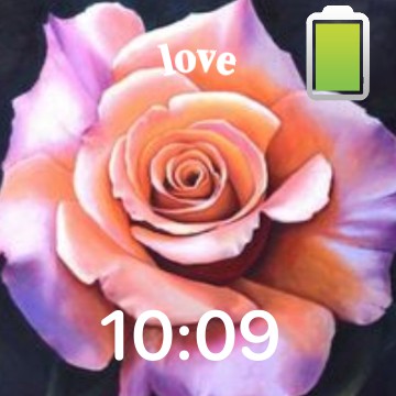 rose