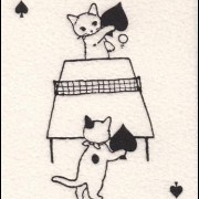 tennis cats 