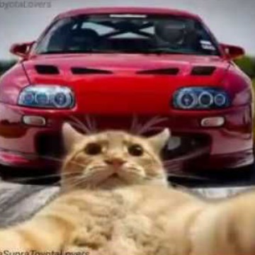 another supra