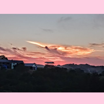 pink sunset