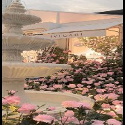 Fountain covered in flowers