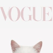 Vogue bougie that girl widget