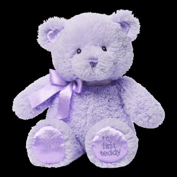 purple teddy