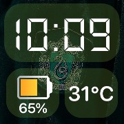 slytherin widget