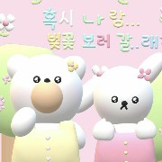 yoonha