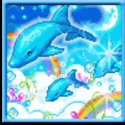 dolphins