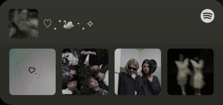 Spotify soft 