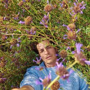 Andrew 