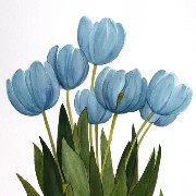 blue flower bouquet 