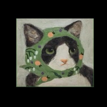 gatos fofos 