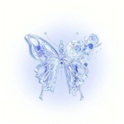 Cyber y2k butterfly