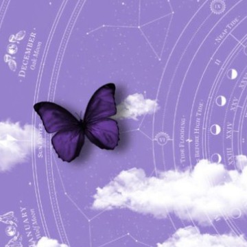 butterfly