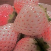 strawberry widget 1