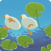 duck