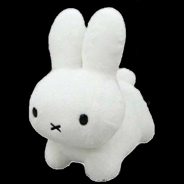 bunny