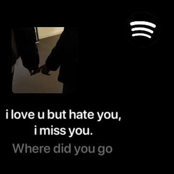 Spotify Widget  Copy