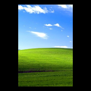 xp
