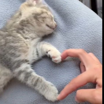 ....... 