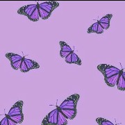 Purple Butterfly Widget