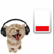 widget cat and Battery